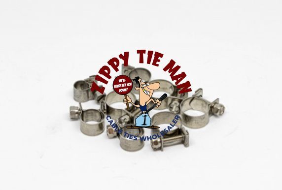 EFI STAINLESS STEEL HOSE CLAMPS